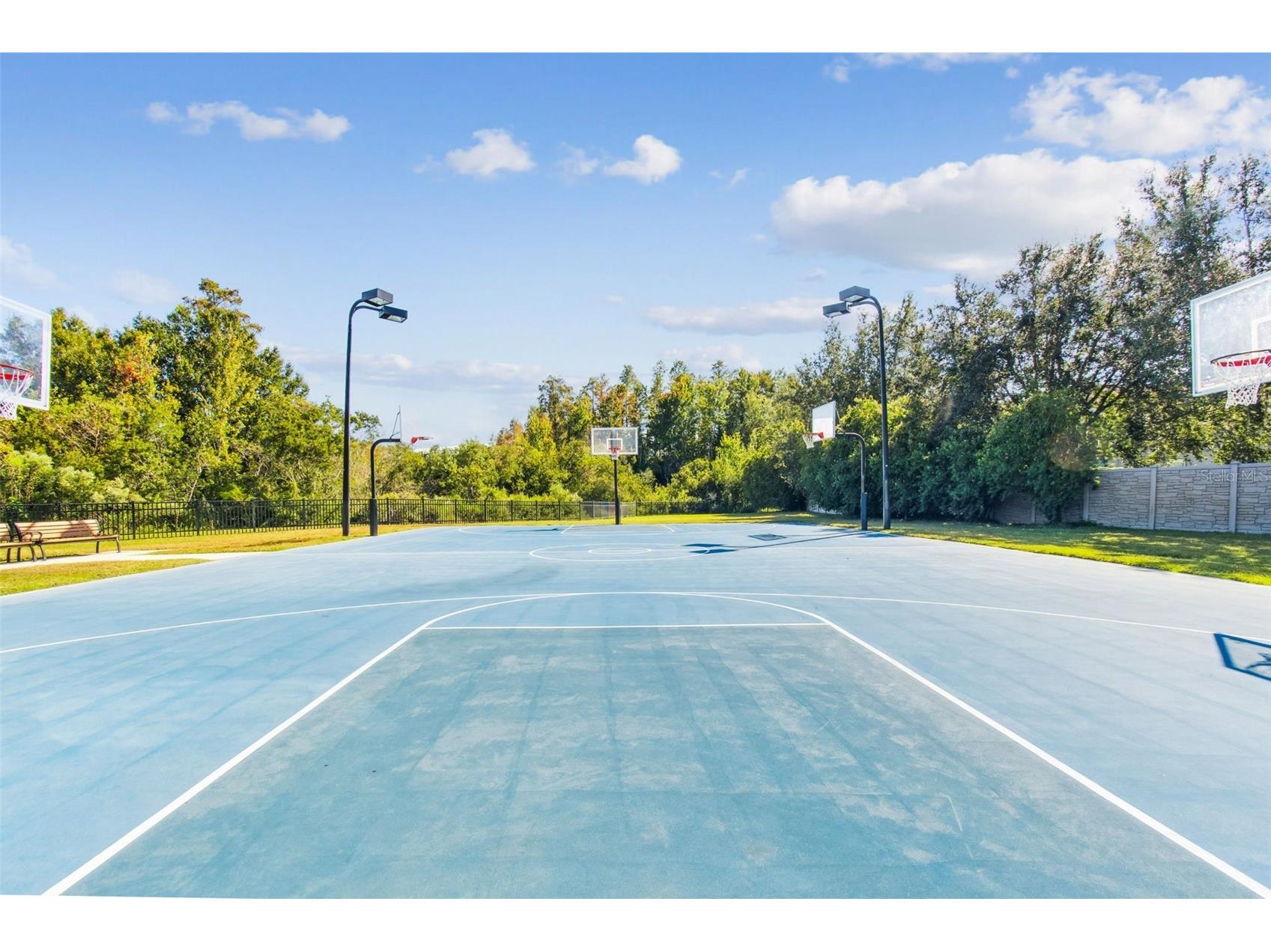 19110 Sunset Bay Drive Land O Lakes FL 34638 TB8492772 image73