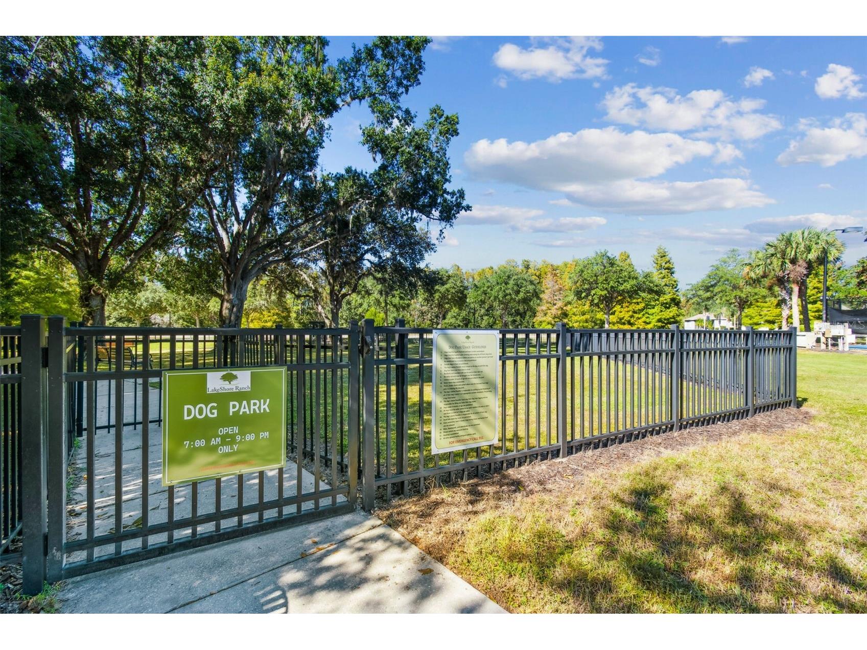 19110 Sunset Bay Drive Land O Lakes FL 34638 TB8492772 image74