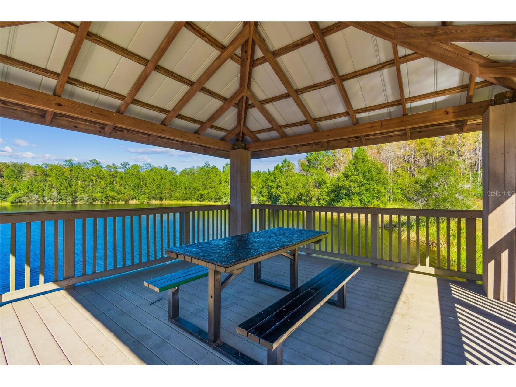 19110 Sunset Bay Drive Land O Lakes FL 34638 TB8492772 image79