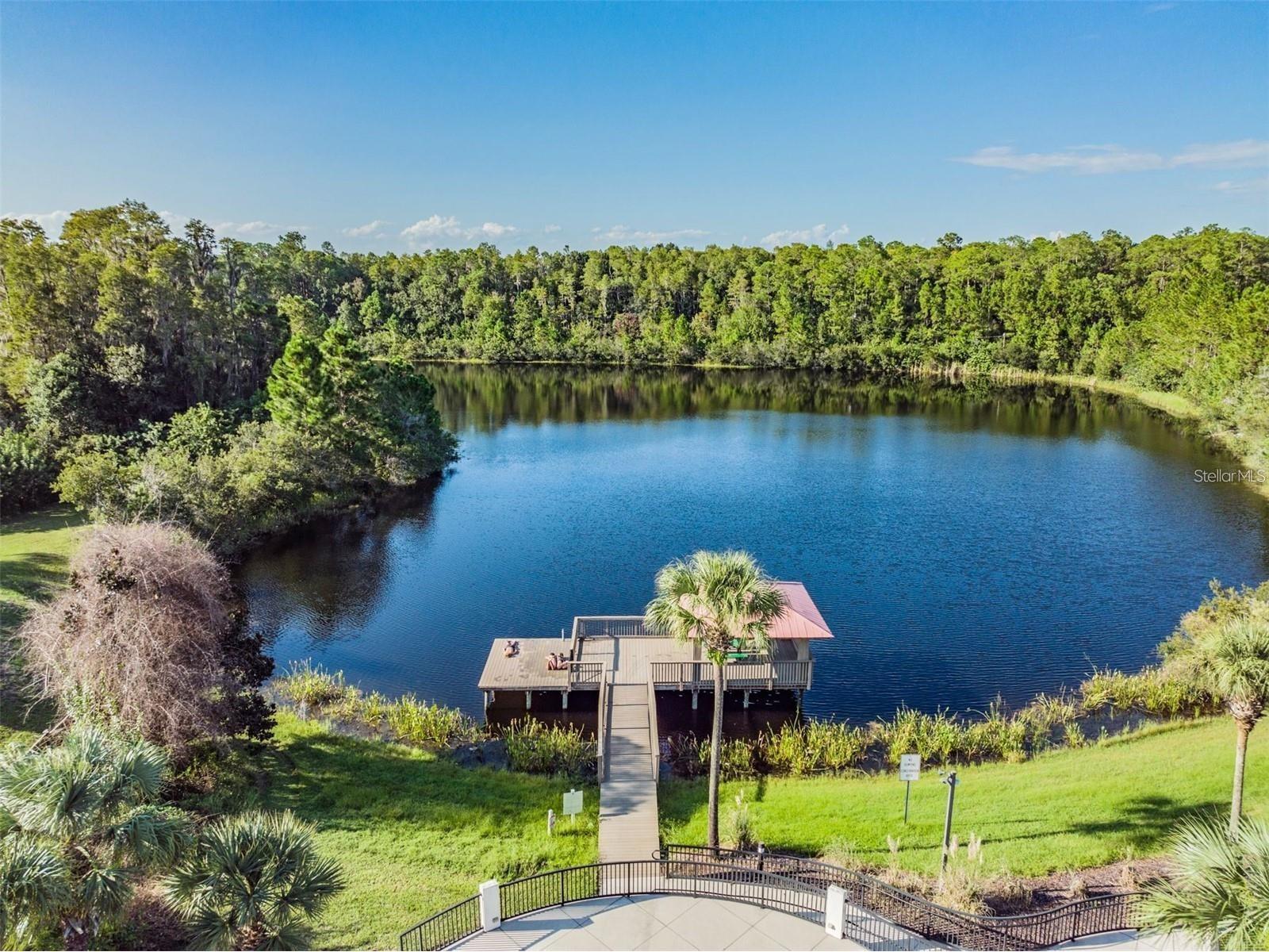 19110 Sunset Bay Drive Land O Lakes FL 34638 TB8492772 image81