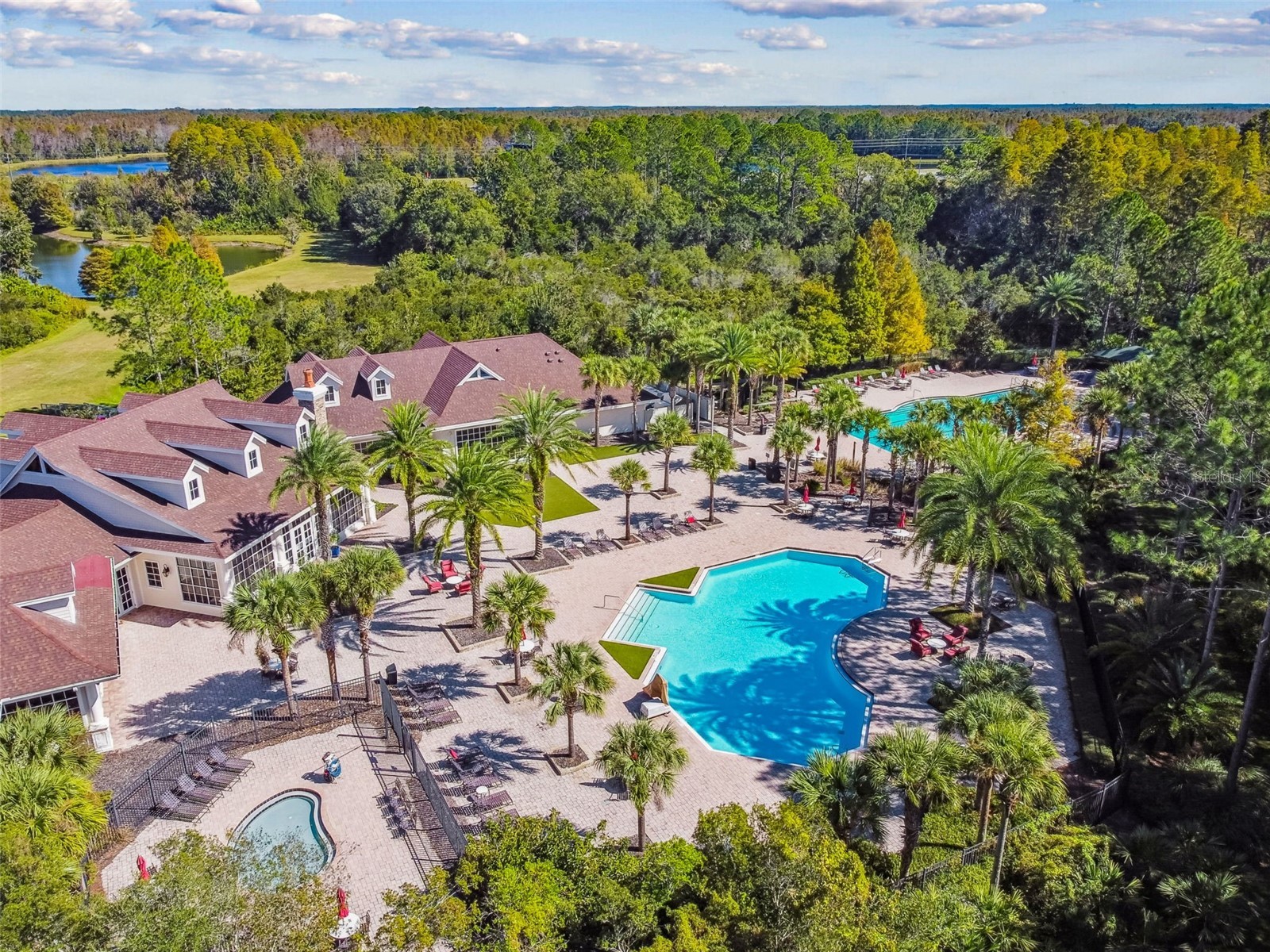 19110 Sunset Bay Drive Land O Lakes FL 34638 TB8492772 image83