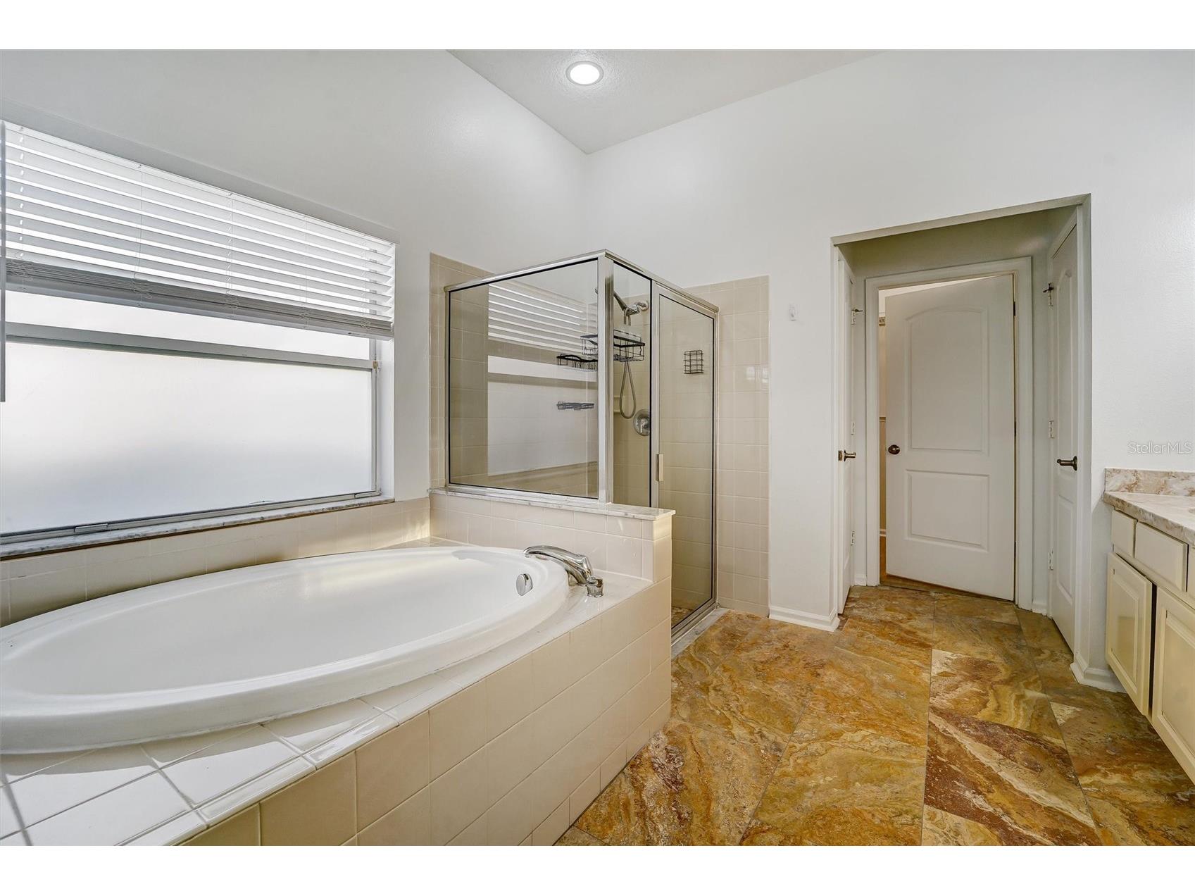 19111 Fern Meadow Loop Lutz FL 33558 TB8509266 image17