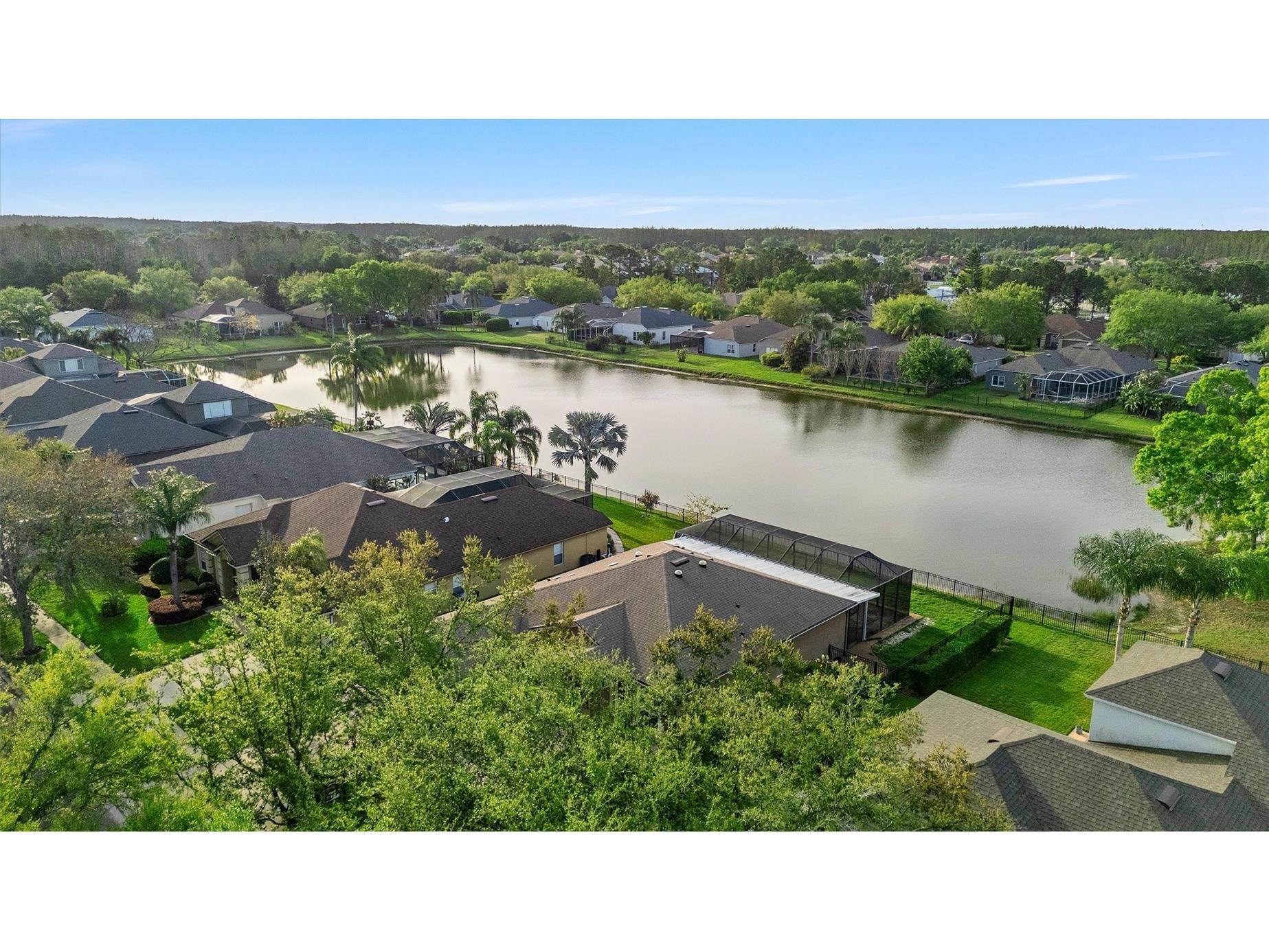 19111 Fern Meadow Loop Lutz FL 33558 TB8509266 image39