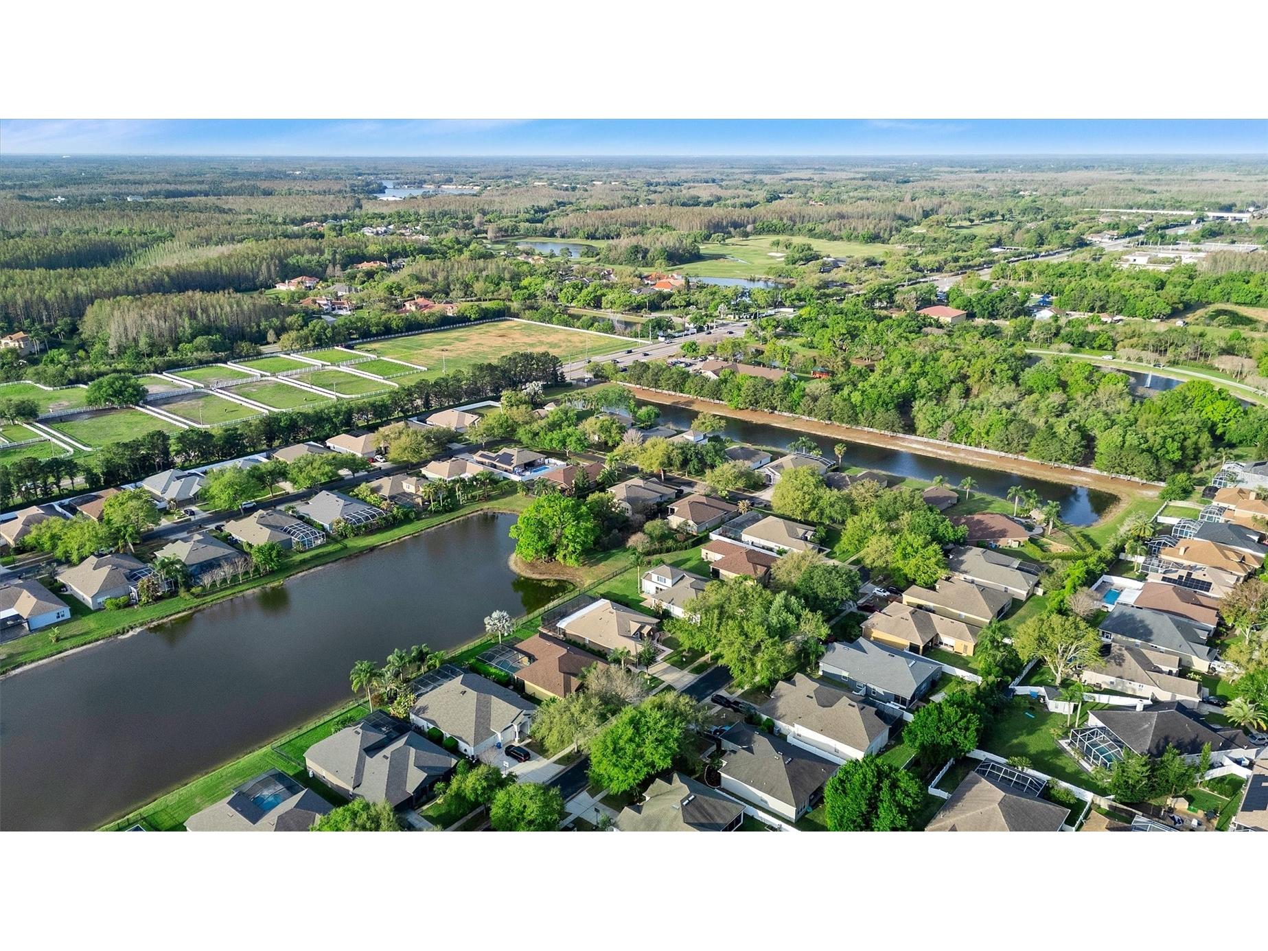19111 Fern Meadow Loop Lutz FL 33558 TB8509266 image45