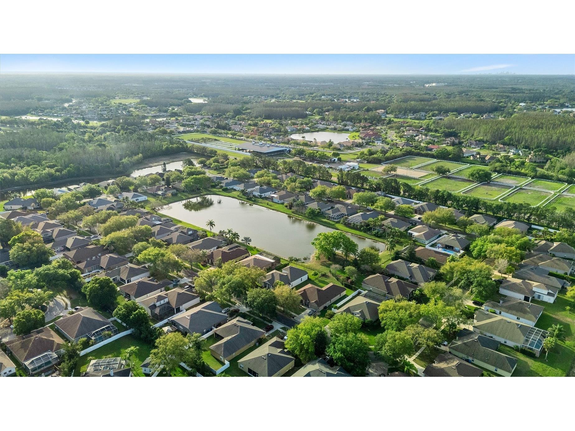 19111 Fern Meadow Loop Lutz FL 33558 TB8509266 image46