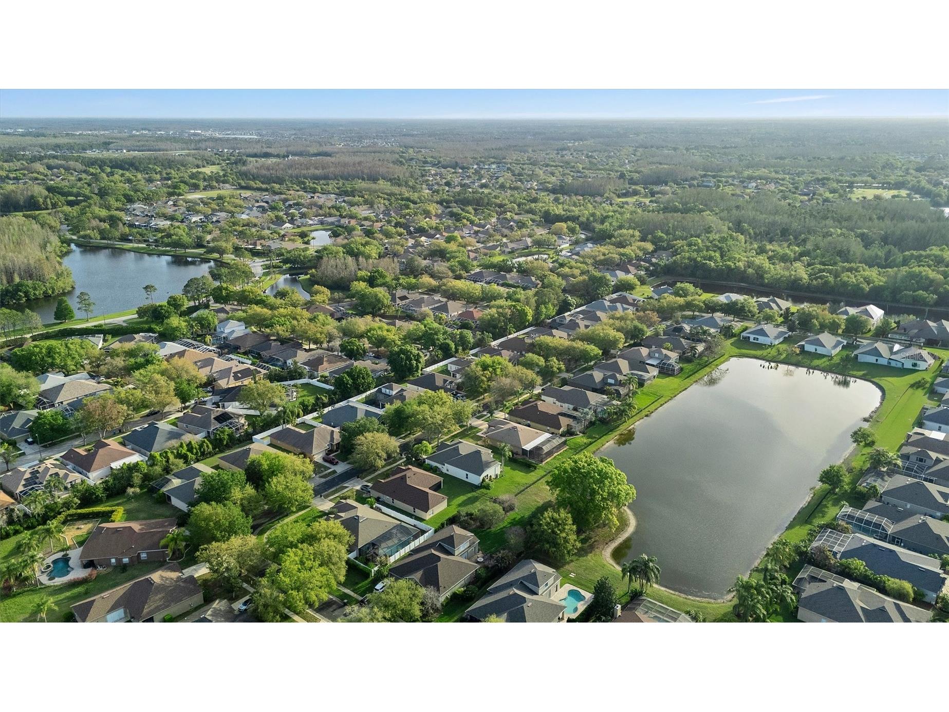 19111 Fern Meadow Loop Lutz FL 33558 TB8509266 image47