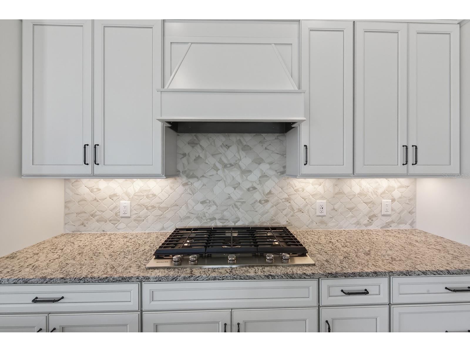 19111 Fox Landing Place Lakewood Ranch FL 34211 A4679150 image18