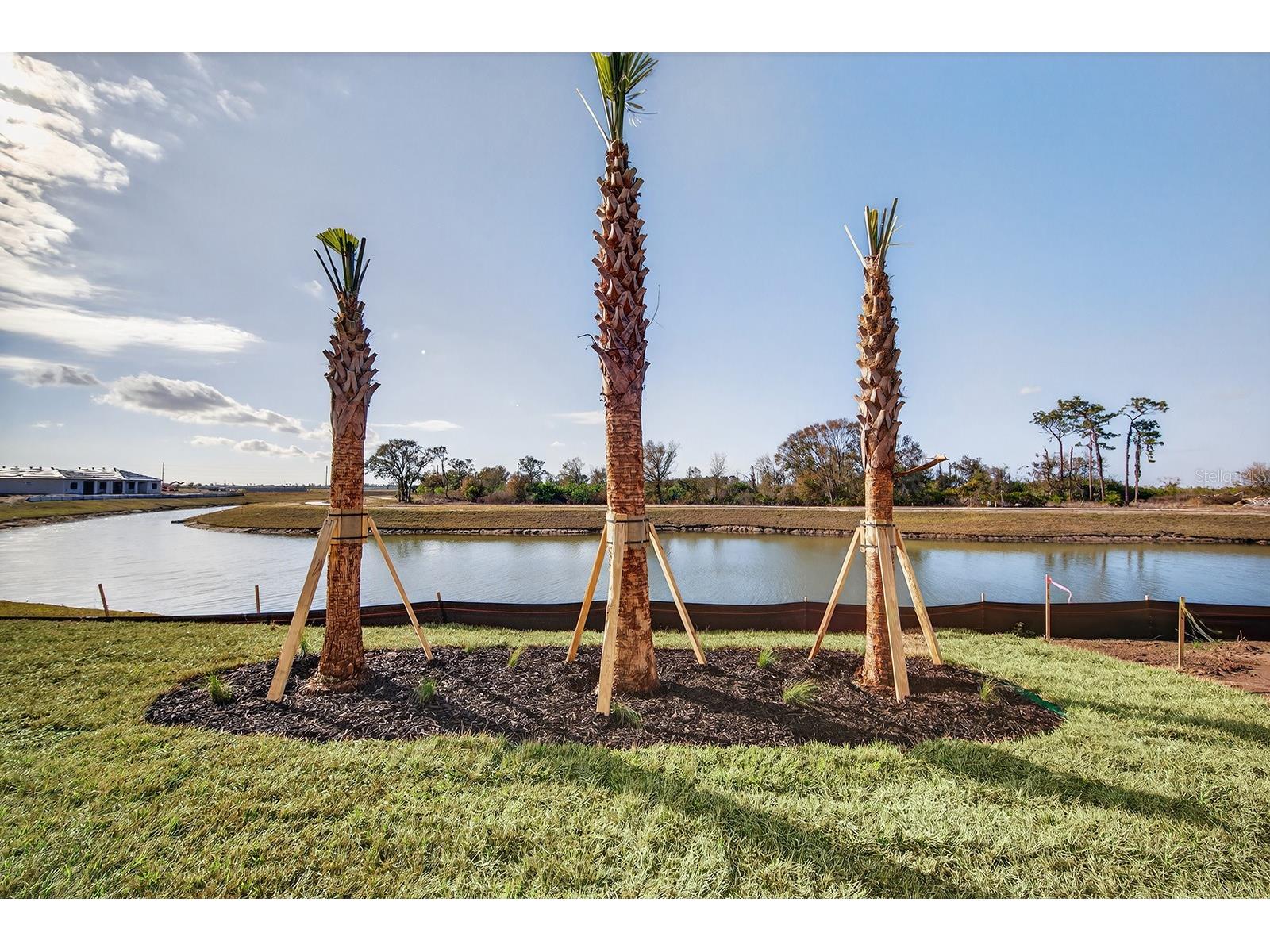 19111 Fox Landing Place Lakewood Ranch FL 34211 A4679150 image59