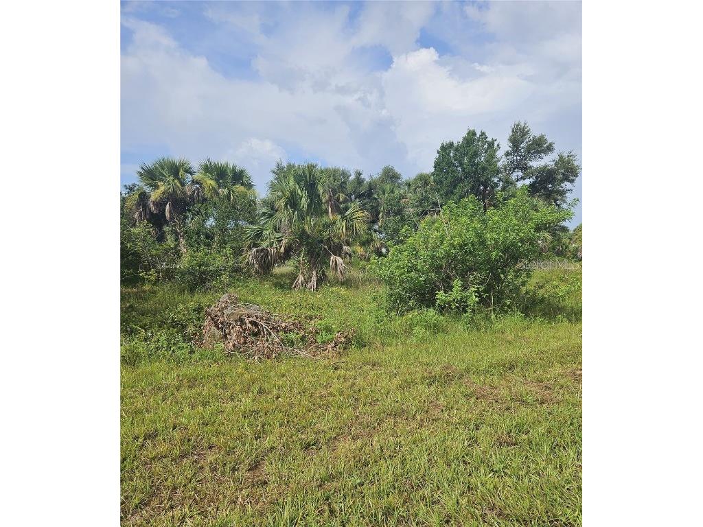 19111 Sheriff Avenue Port Charlotte FL 33954 C7477098 image1