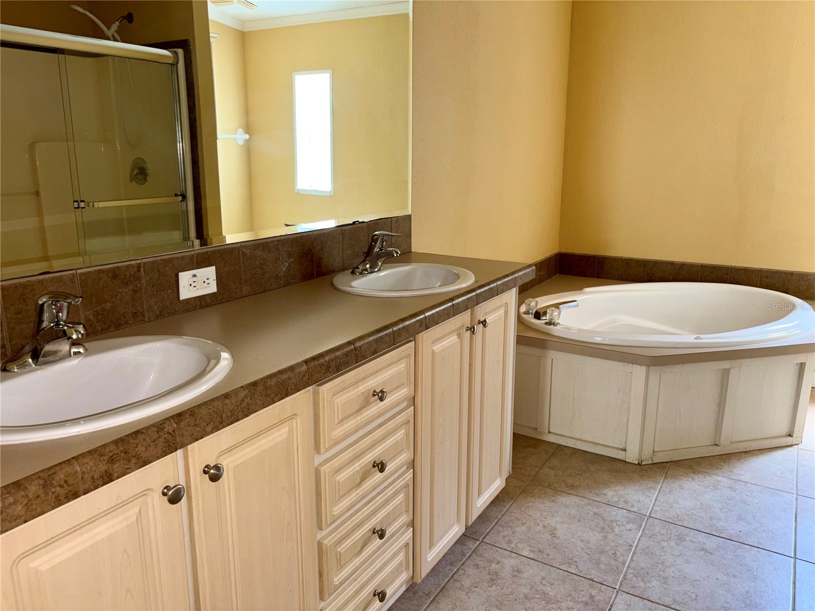 19112 Iverson Road Lutz FL 33559 TB8505338 image3