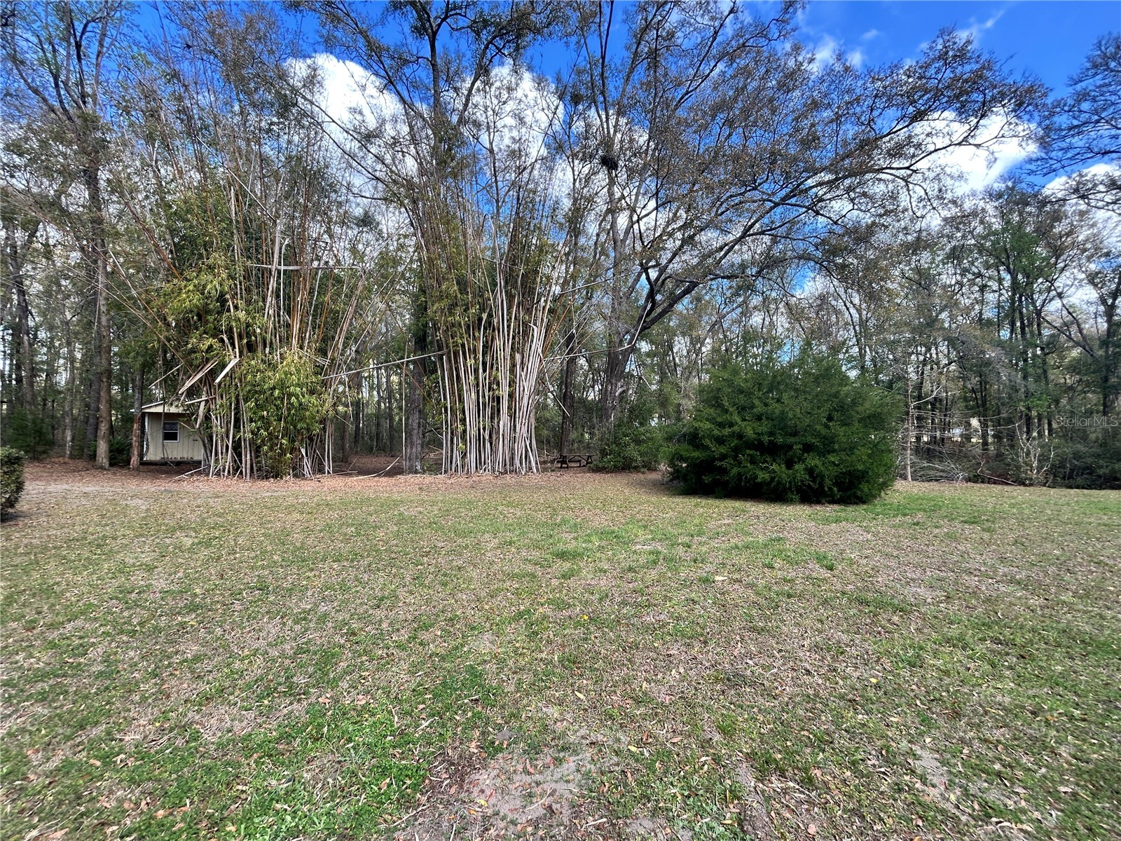 19112 NW 156th Avenue Alachua FL 32615 GC537553 image13