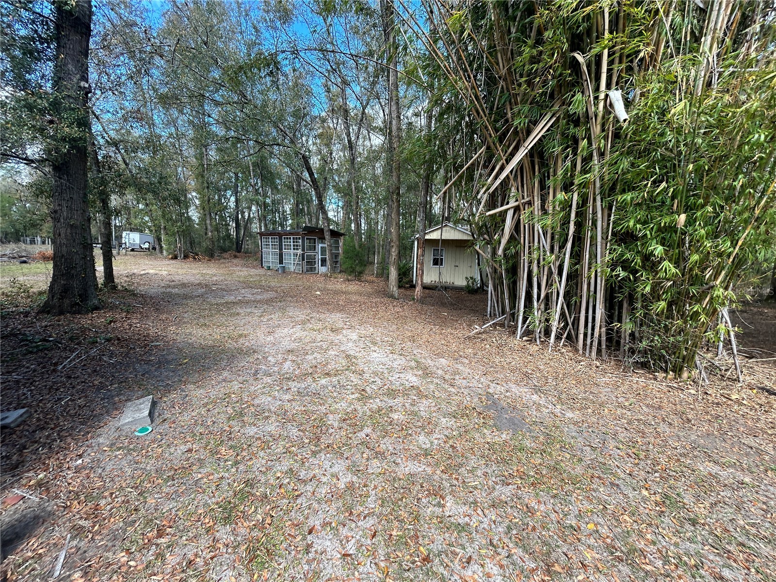 19112 NW 156th Avenue Alachua FL 32615 GC537553 image14