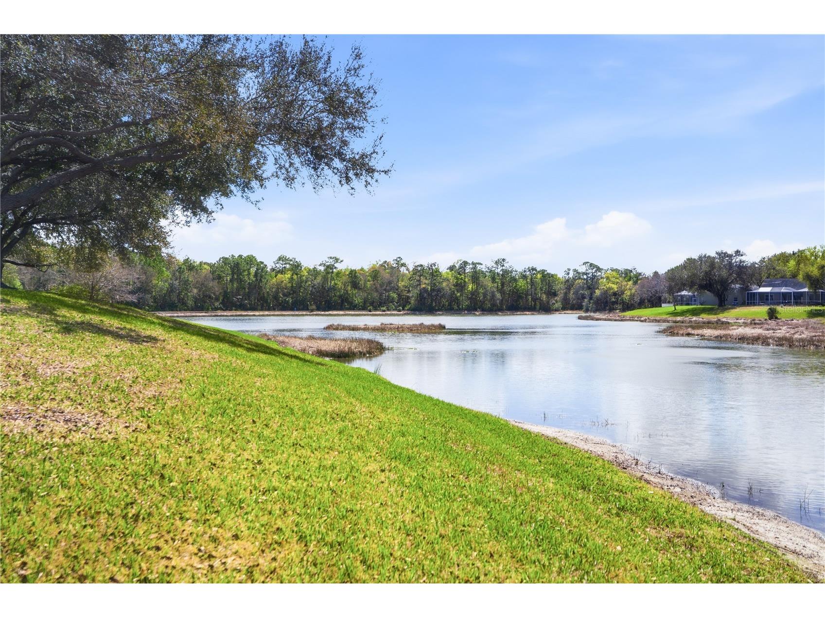 19112 White Wing Place Tampa FL 33647 TB8485744 image10