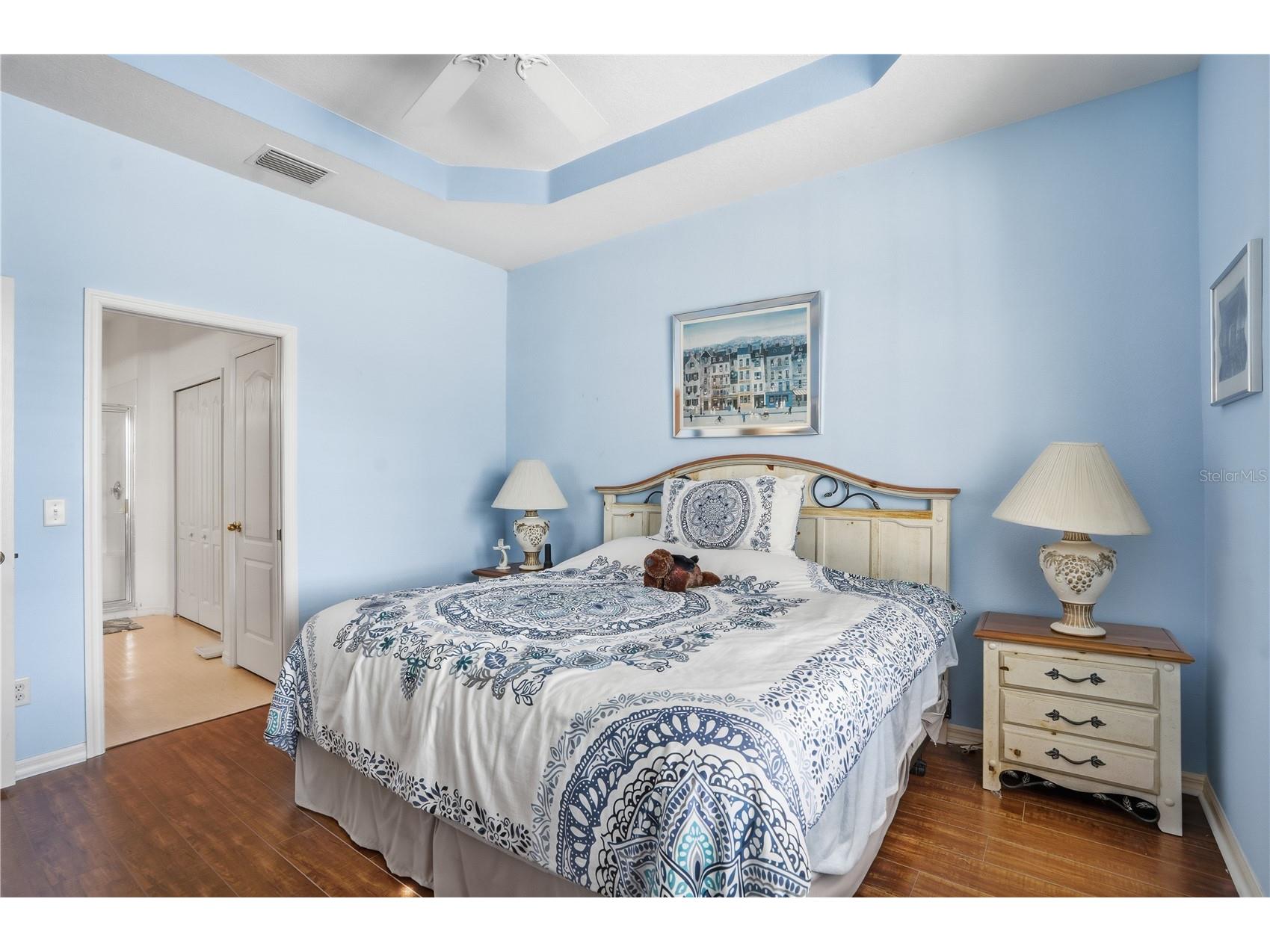 19112 White Wing Place Tampa FL 33647 TB8485744 image12