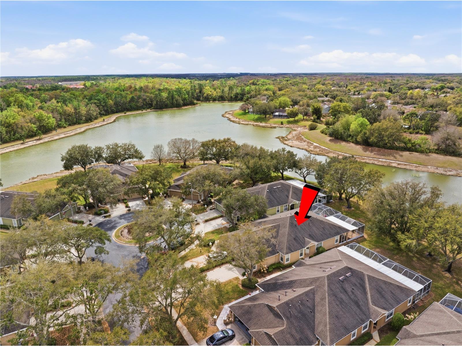 19112 White Wing Place Tampa FL 33647 TB8485744 image26