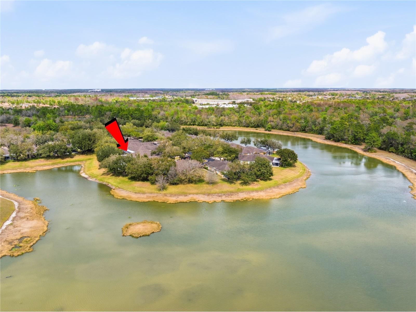 19112 White Wing Place Tampa FL 33647 TB8485744 image28