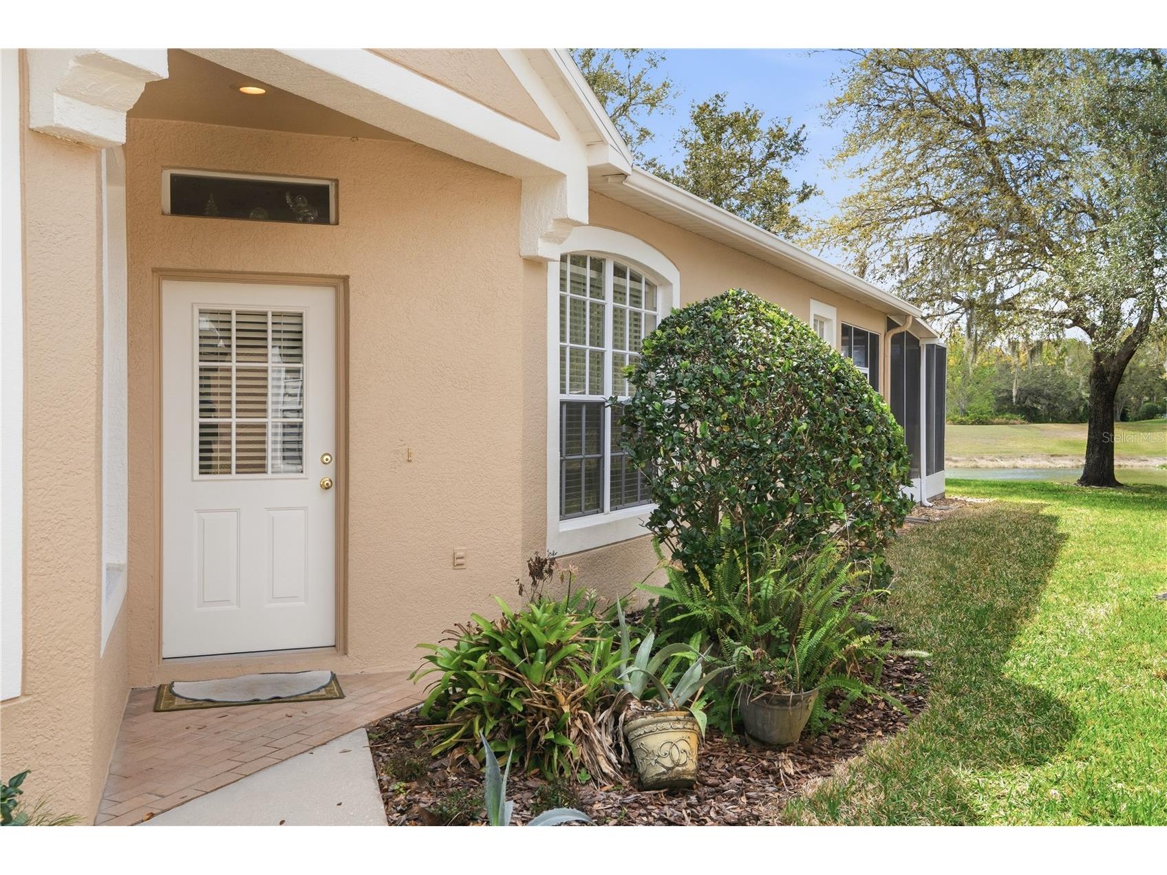 19112 White Wing Place Tampa FL 33647 TB8485744 image4