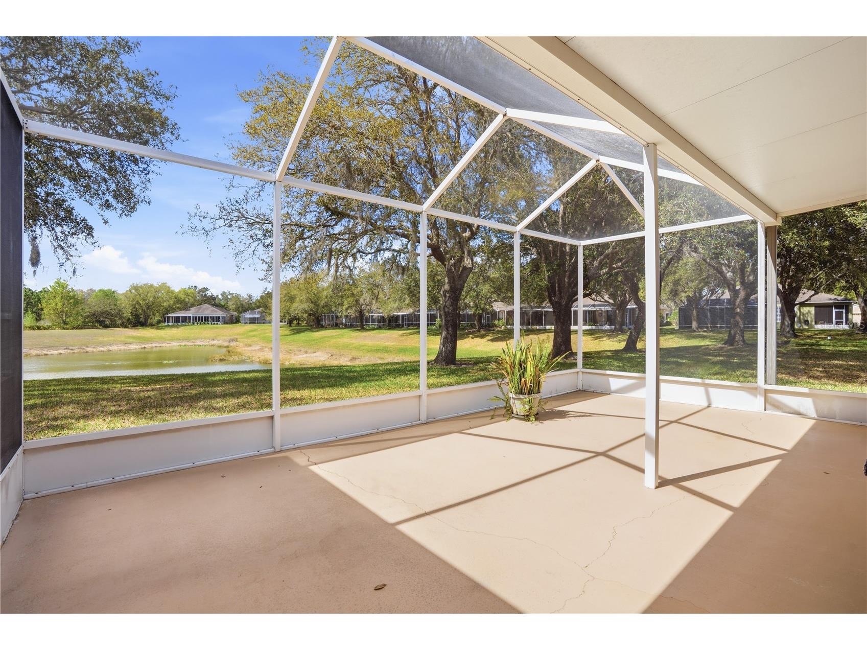 19112 White Wing Place Tampa FL 33647 TB8485744 image8