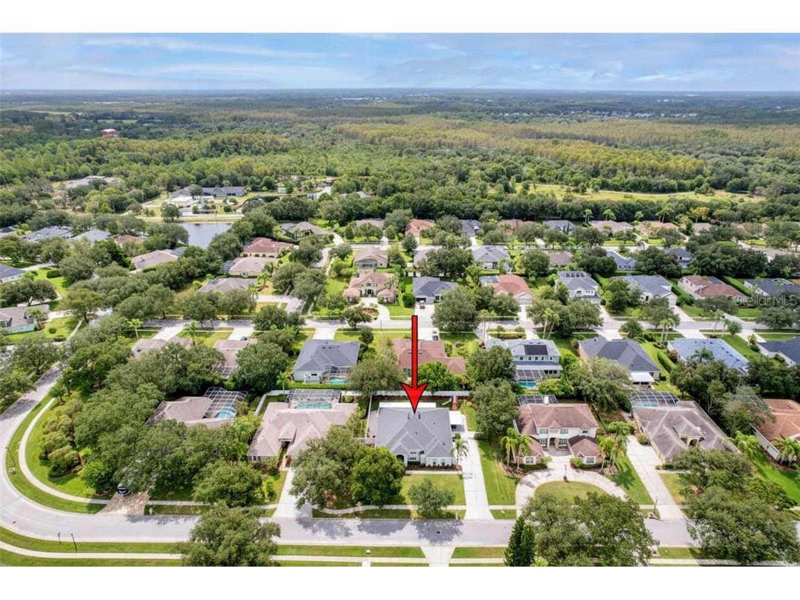 19113 Beckett Drive Odessa FL 33556 TB8436323 image34