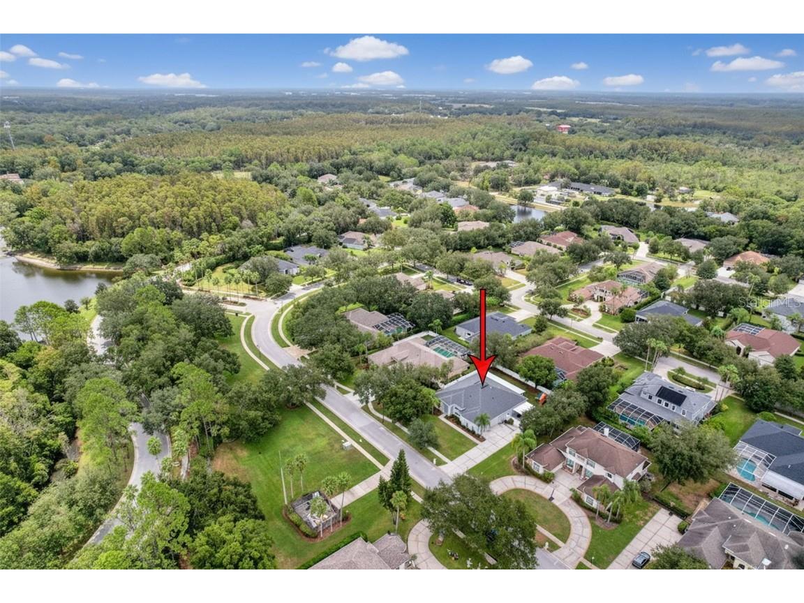 19113 Beckett Drive Odessa FL 33556 TB8436323 image35