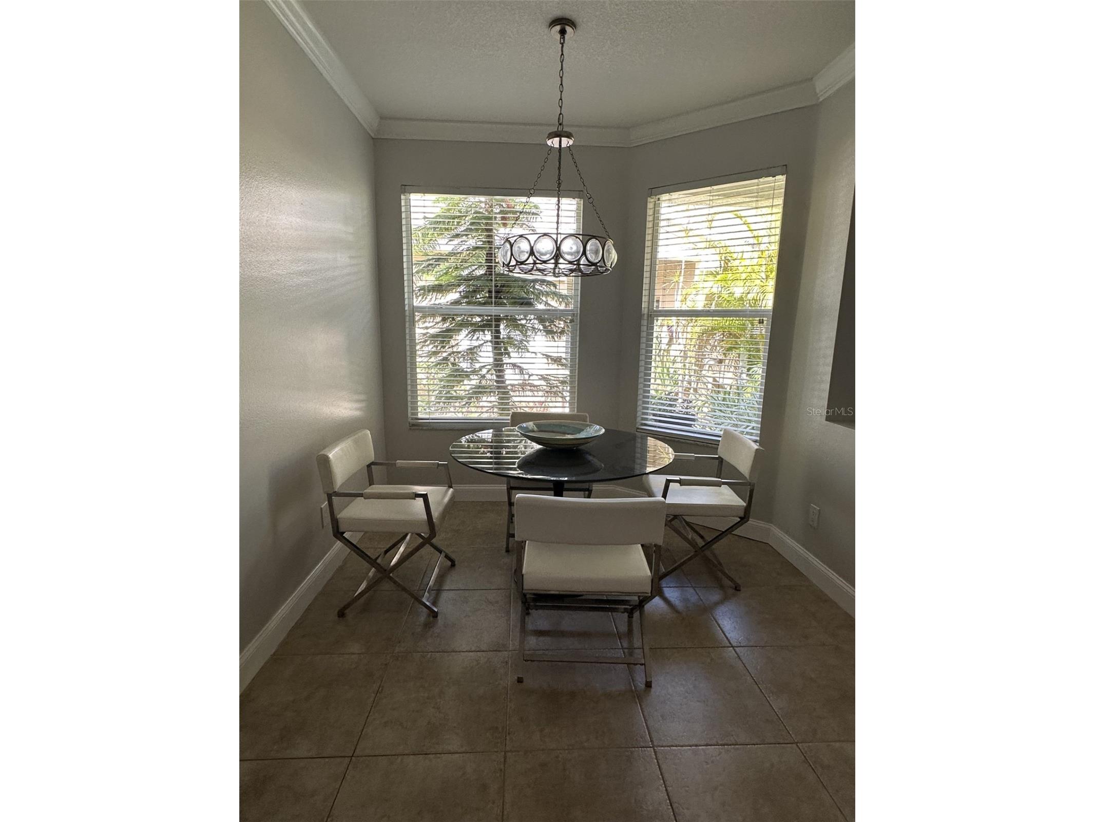 19113 Doves Landing Drive Tampa FL 33647 TB8500048 image13