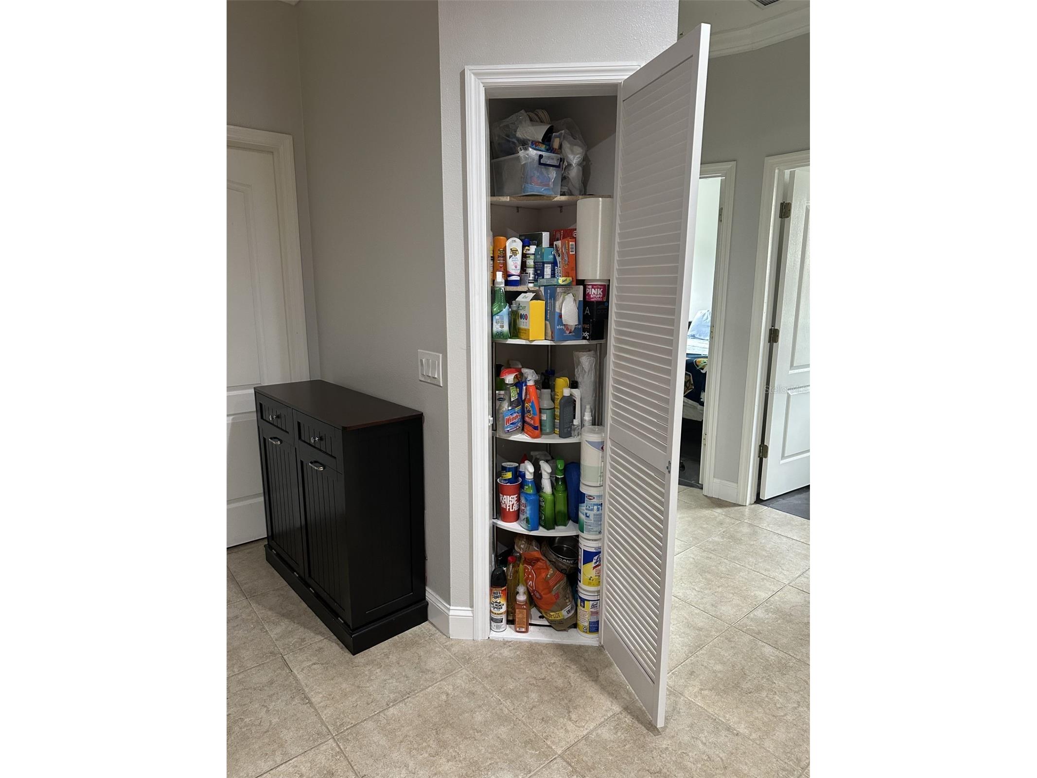 19113 Doves Landing Drive Tampa FL 33647 TB8500048 image16