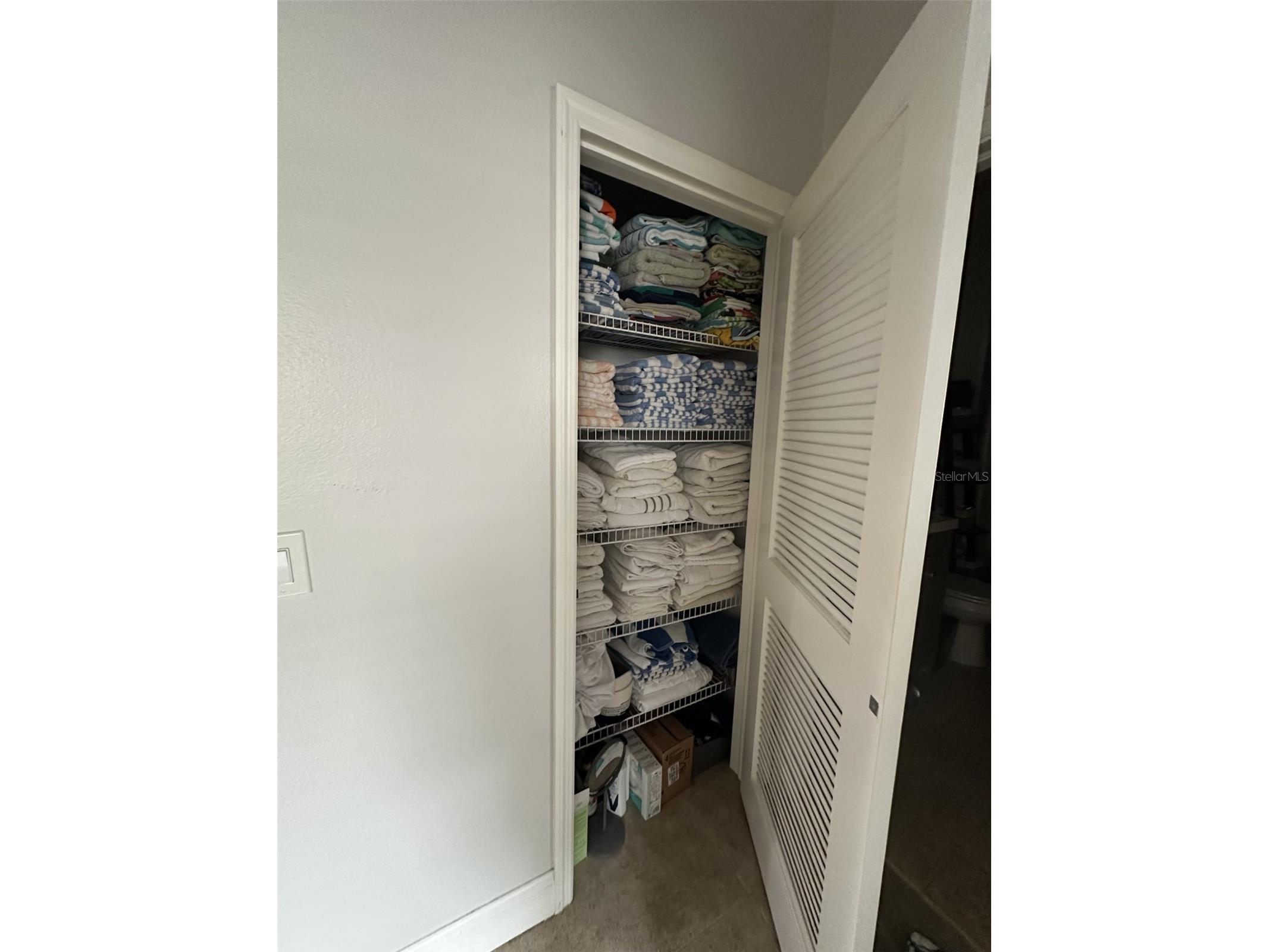 19113 Doves Landing Drive Tampa FL 33647 TB8500048 image17