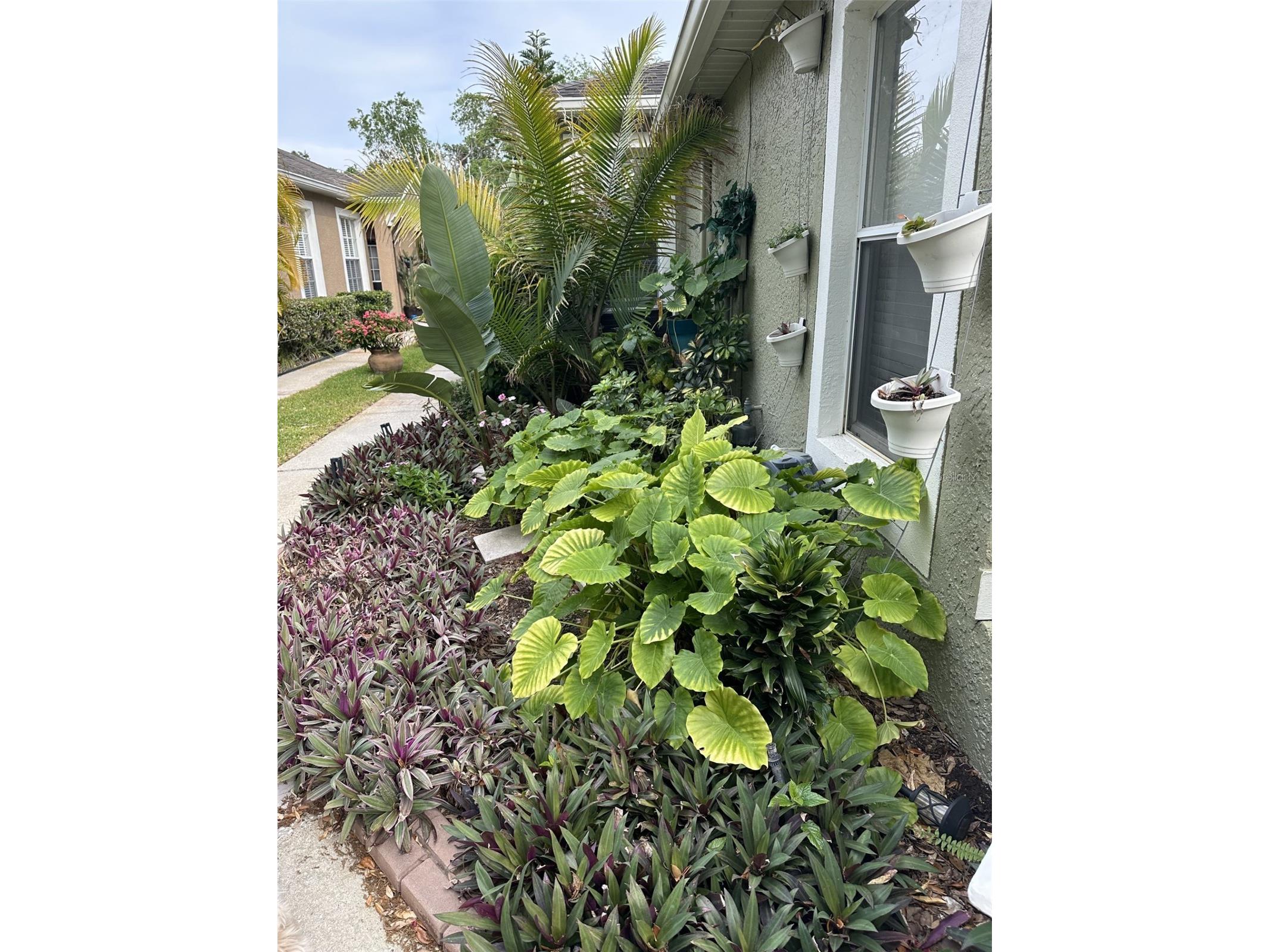 19113 Doves Landing Drive Tampa FL 33647 TB8500048 image2