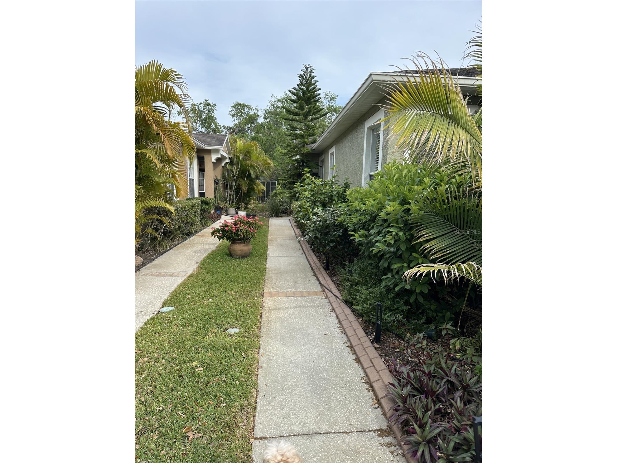 19113 Doves Landing Drive Tampa FL 33647 TB8500048 image3