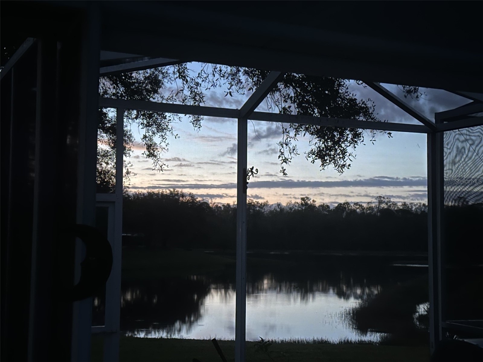 19113 Doves Landing Drive Tampa FL 33647 TB8500048 image38