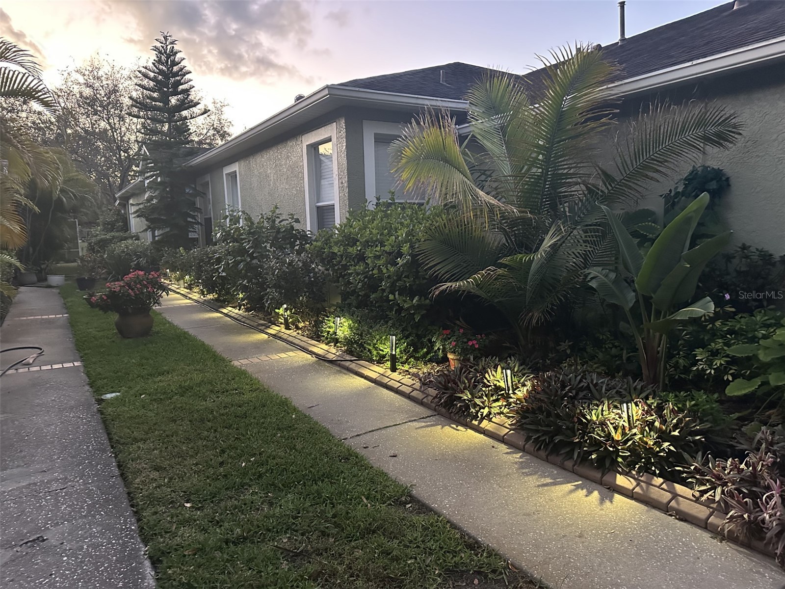 19113 Doves Landing Drive Tampa FL 33647 TB8500048 image42