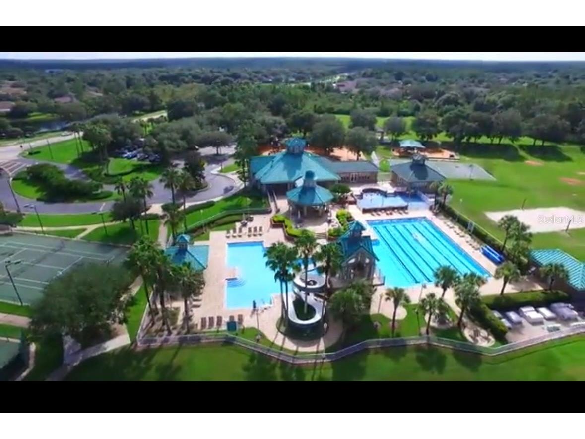 19113 Doves Landing Drive Tampa FL 33647 TB8500048 image44