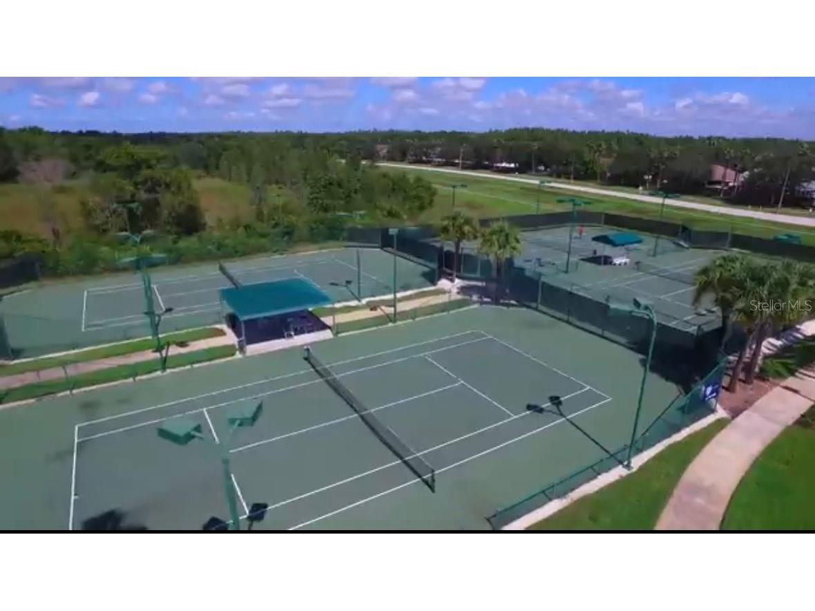 19113 Doves Landing Drive Tampa FL 33647 TB8500048 image46