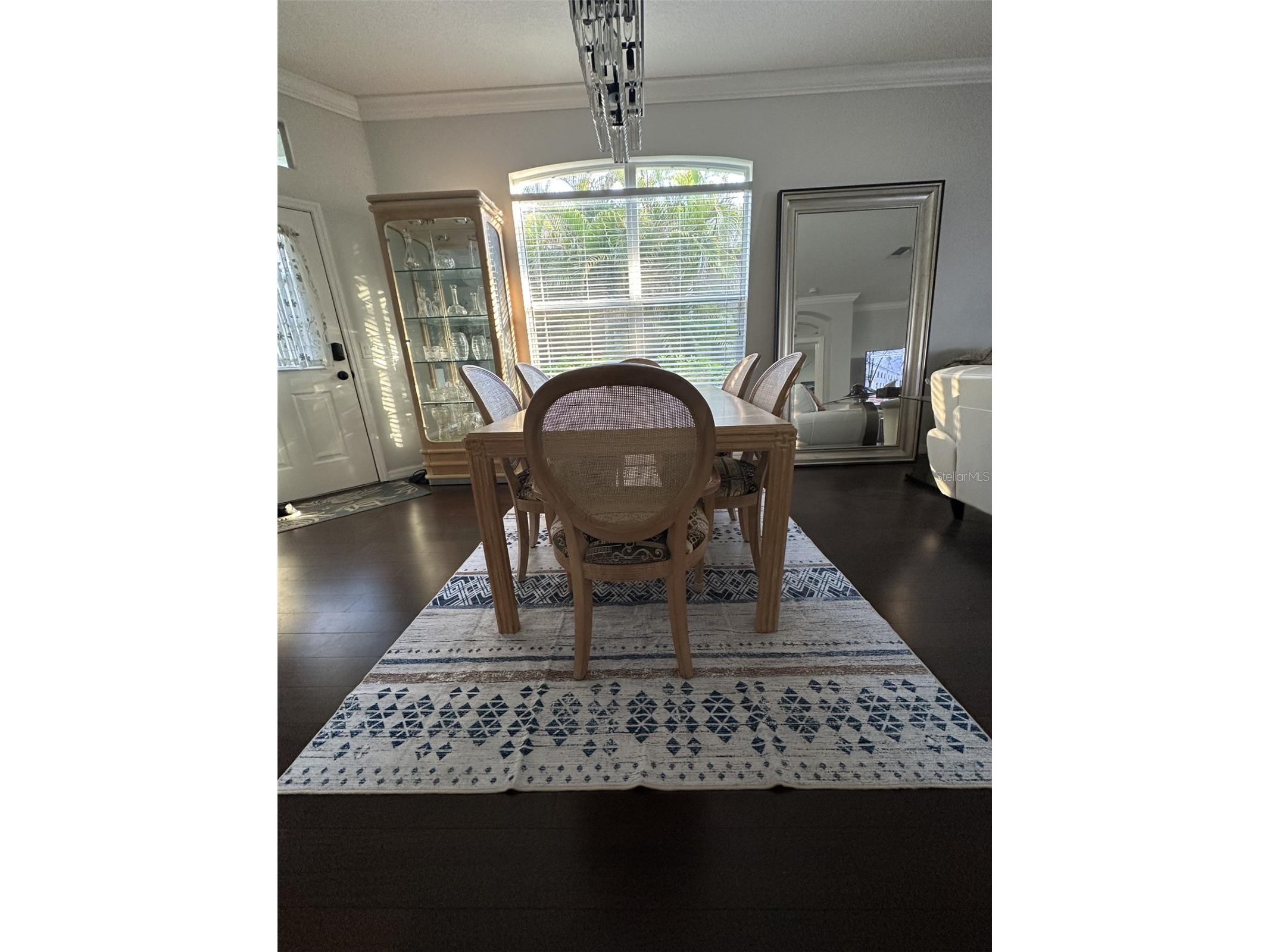 19113 Doves Landing Drive Tampa FL 33647 TB8500048 image6