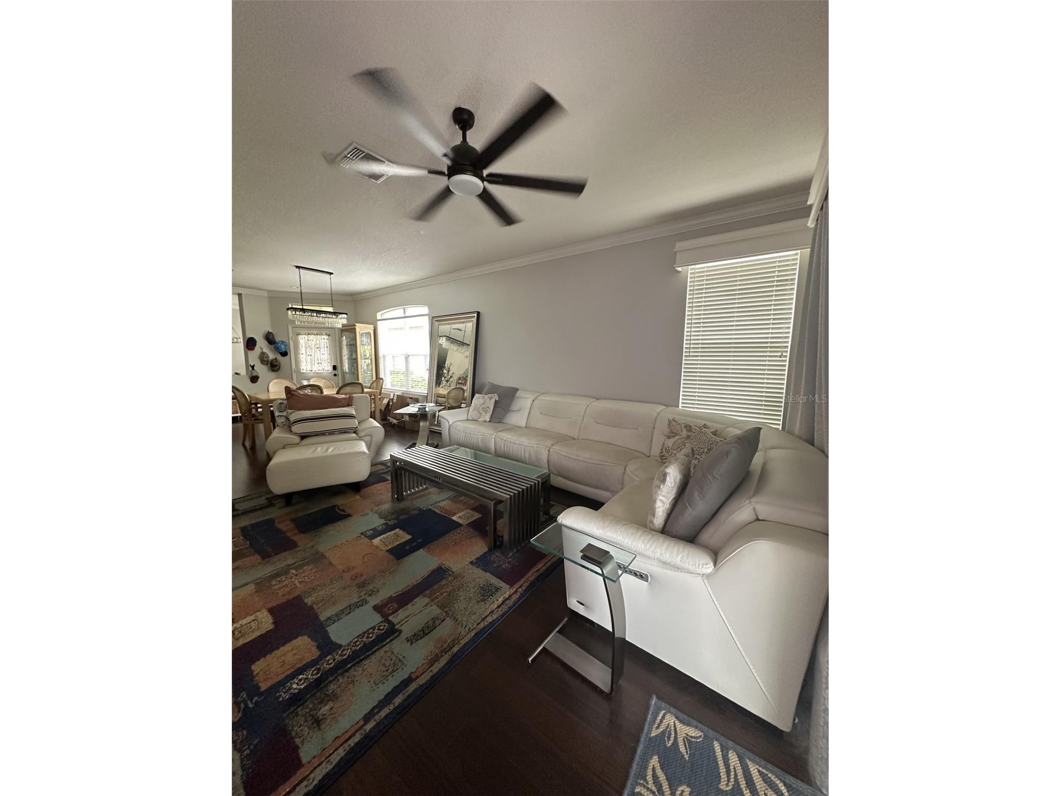 19113 Doves Landing Drive Tampa FL 33647 TB8500048 image7