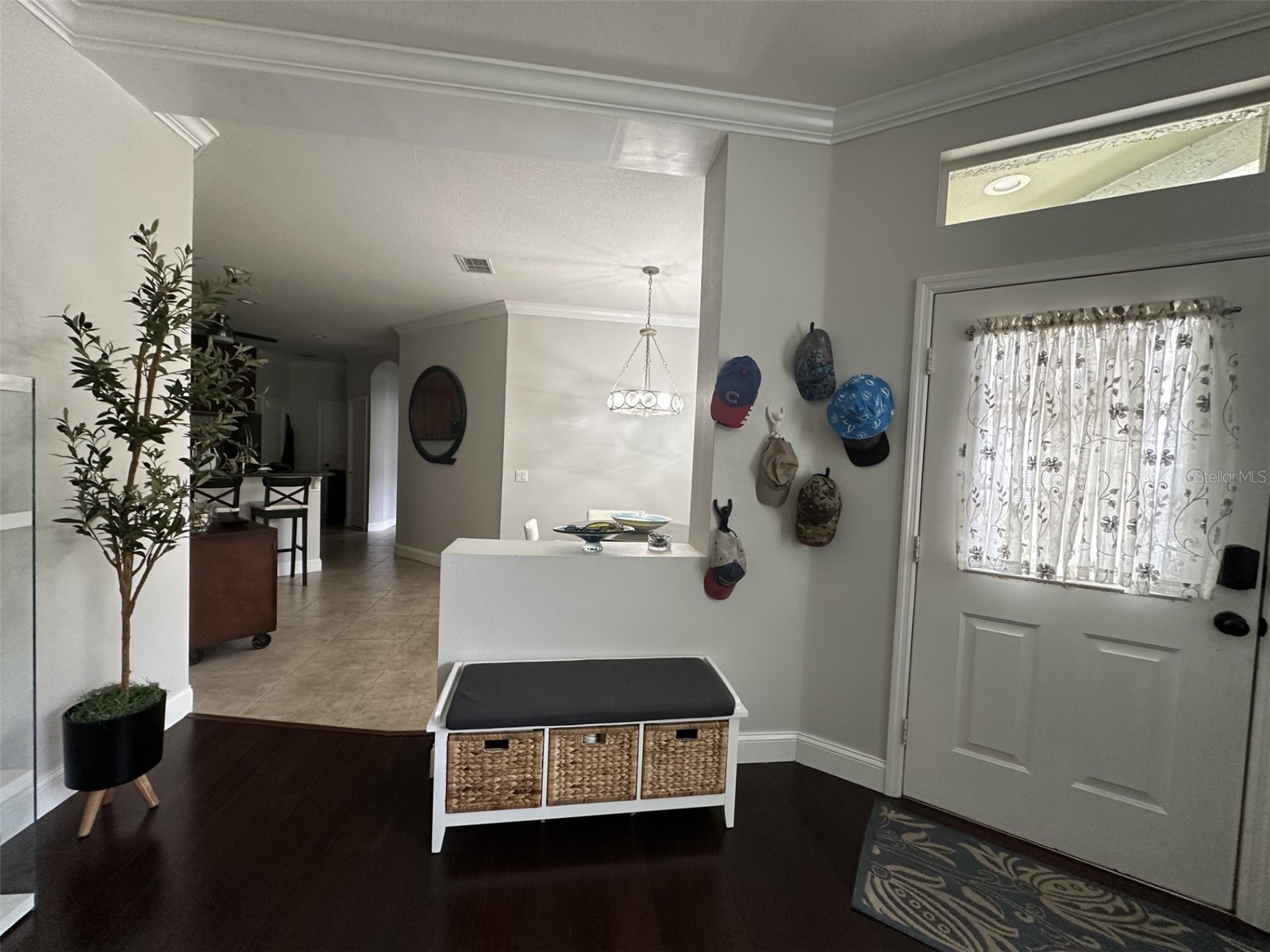 19113 Doves Landing Drive Tampa FL 33647 TB8500048 image9