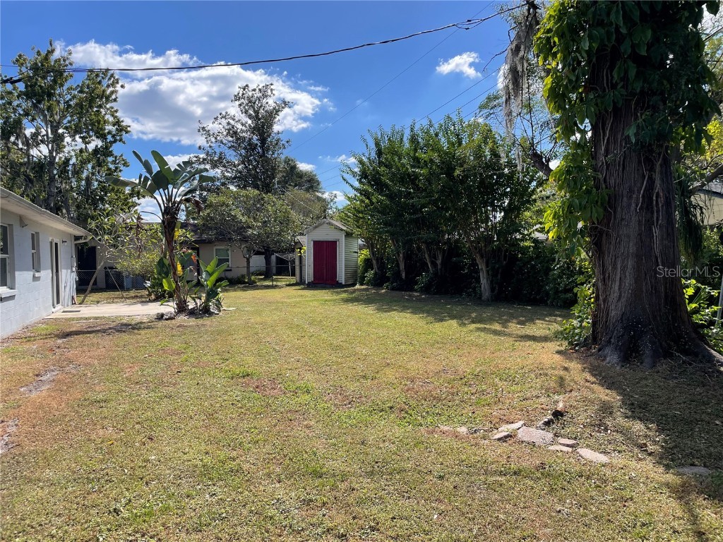 19114 Alice Circle Lutz FL 33558 TB8445282 image12
