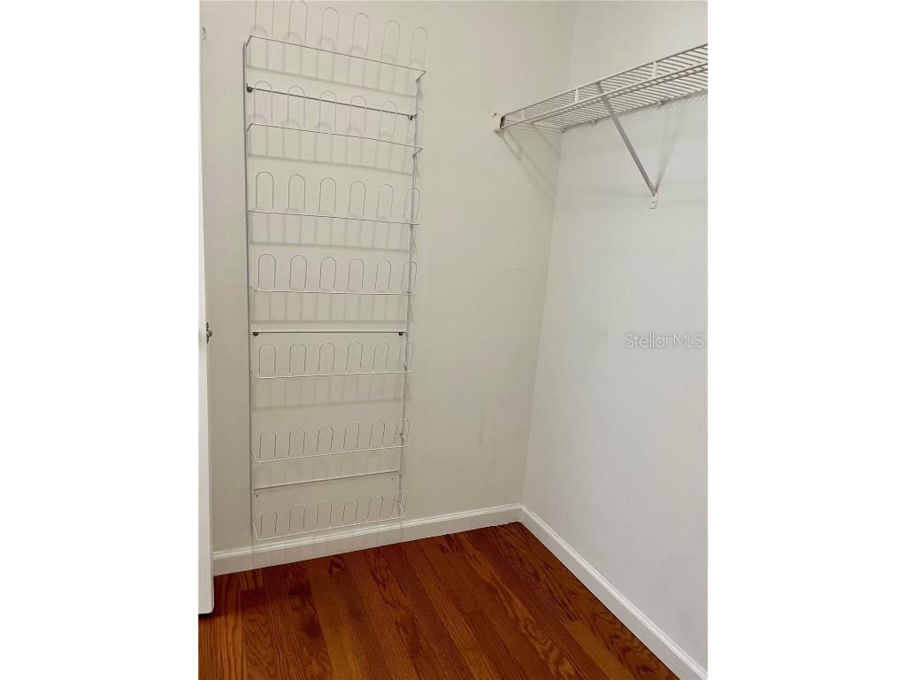 19114 Alice Circle Lutz FL 33558 TB8445282 image20