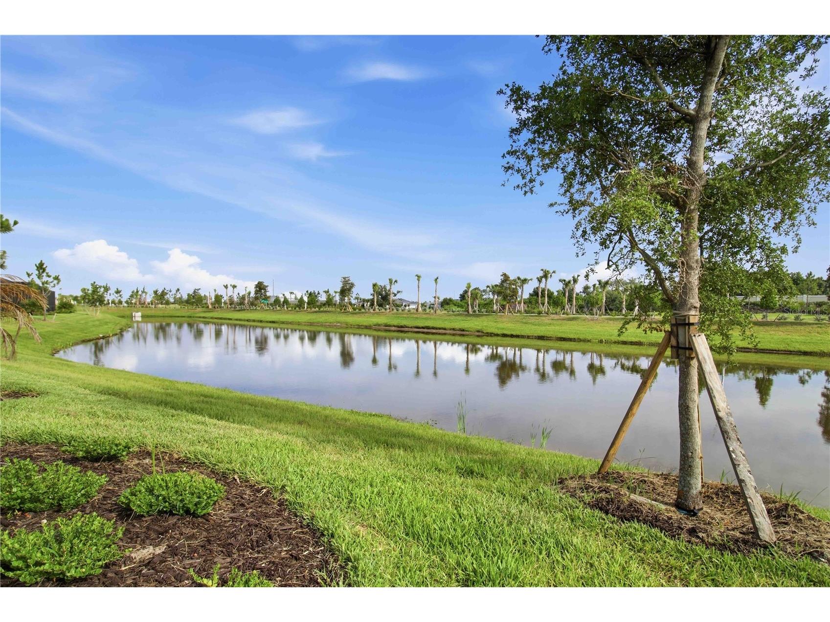 19115 Cherrystone Way Lakewood Ranch FL 34211 A4697694 image41
