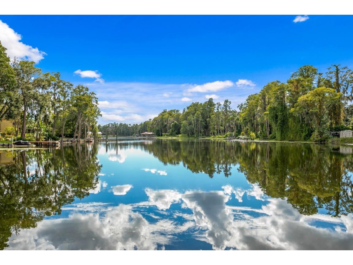 19116 Forrest Drive Odessa FL 33556 - LAKE WOOD TB8431640 image1