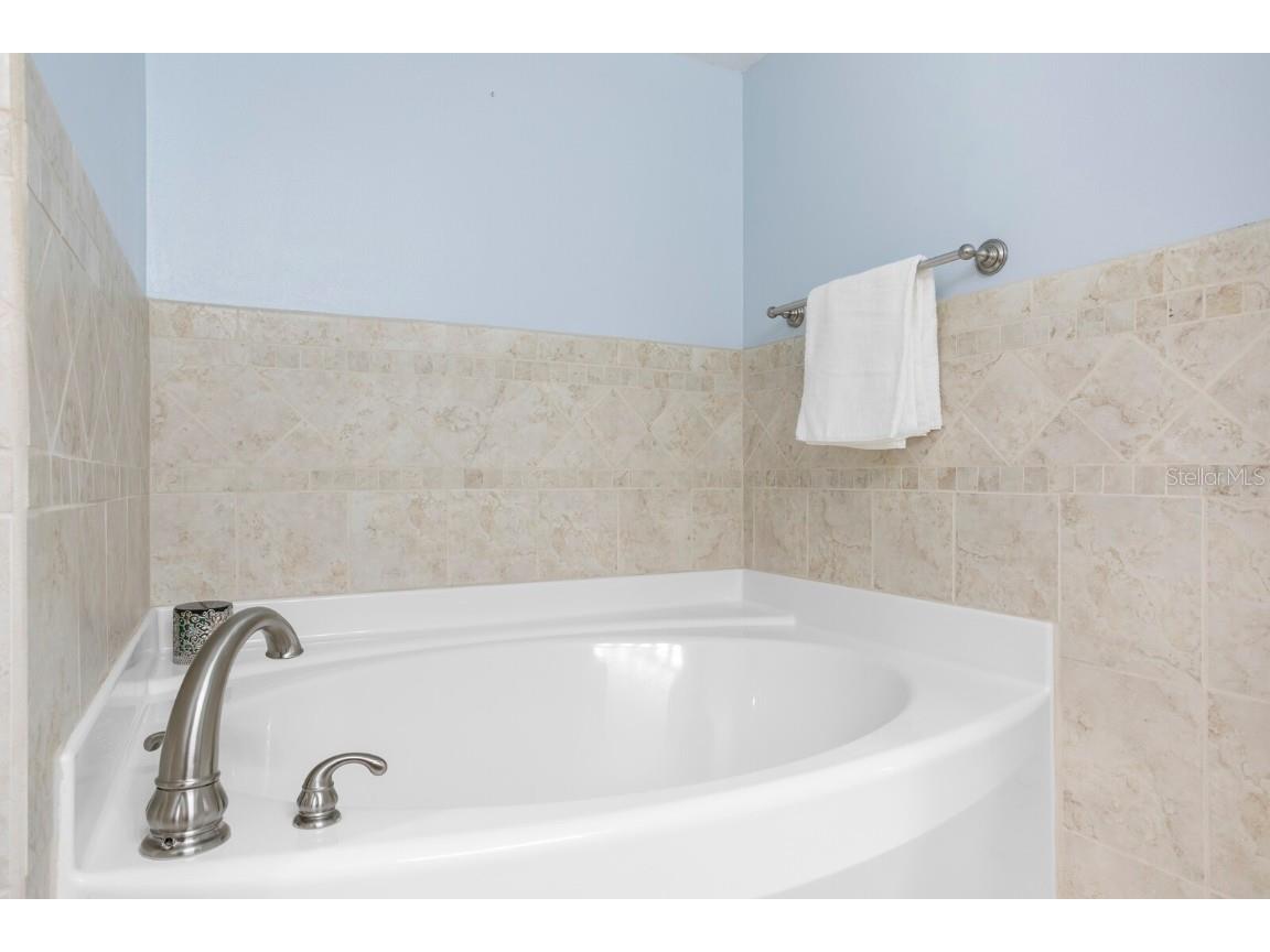 19116 Forrest Drive Odessa FL 33556 - LAKE WOOD TB8431640 image19