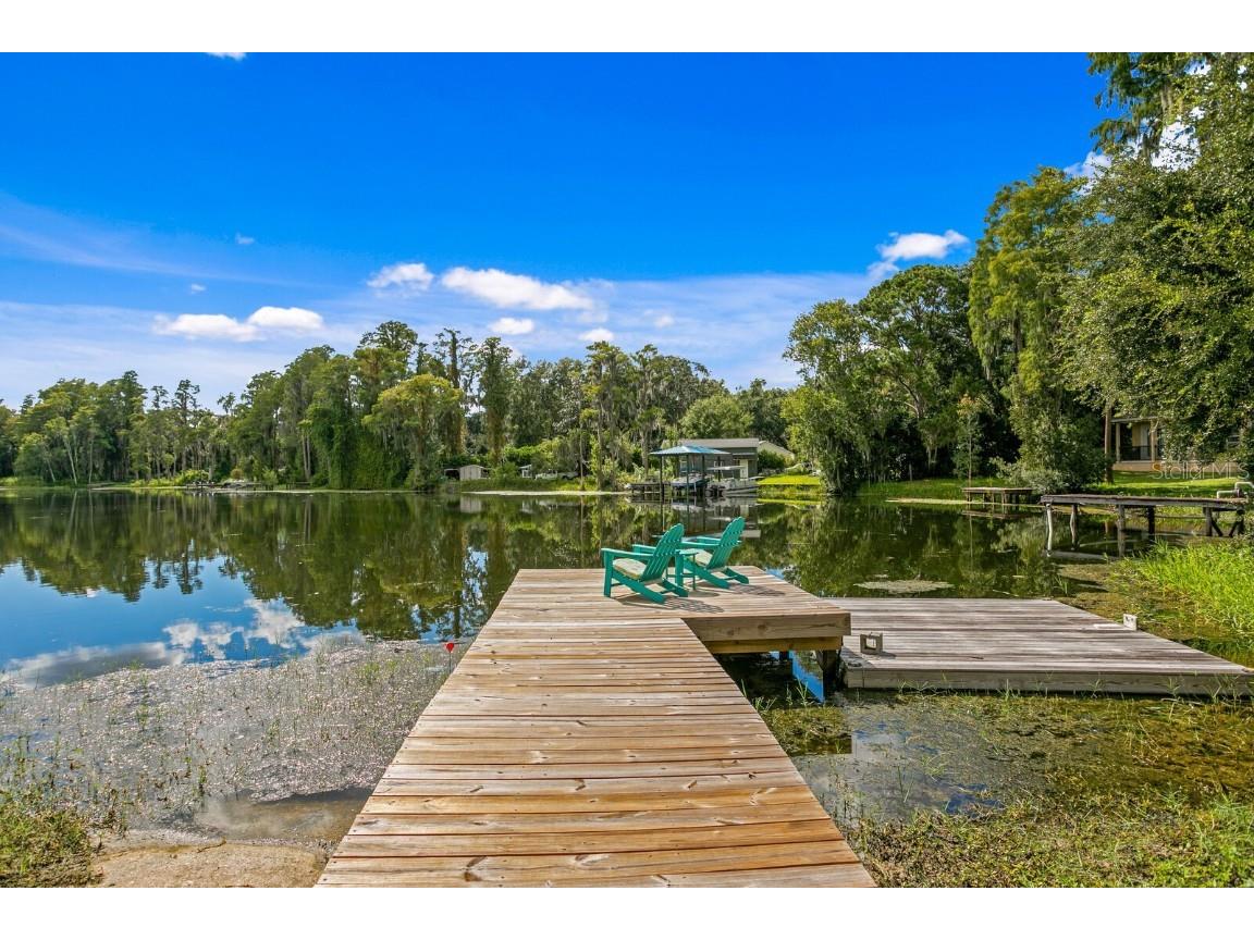 19116 Forrest Drive Odessa FL 33556 - LAKE WOOD TB8431640 image42