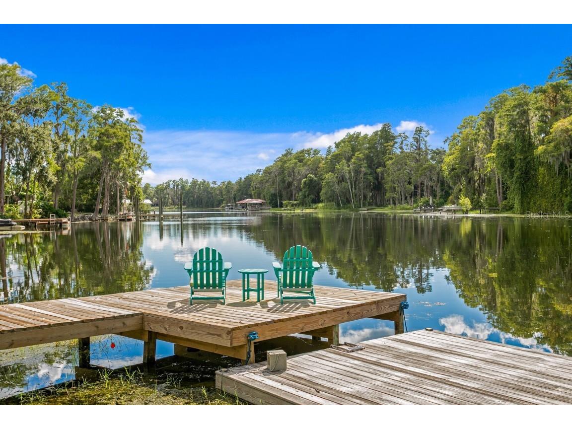 19116 Forrest Drive Odessa FL 33556 - LAKE WOOD TB8431640 image44