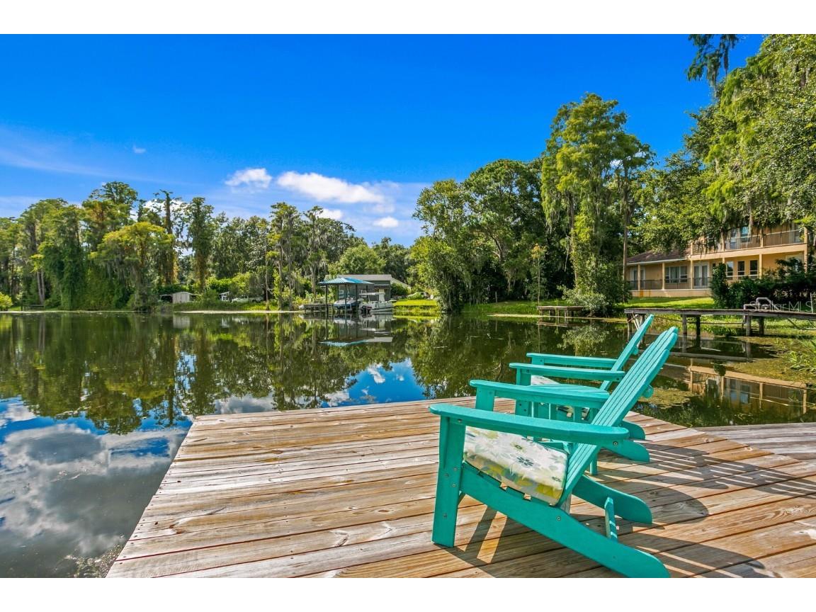 19116 Forrest Drive Odessa FL 33556 - LAKE WOOD TB8431640 image45