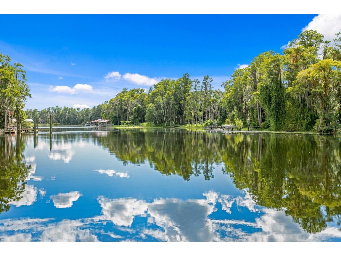 19116 Forrest Drive Odessa FL 33556 - LAKE WOOD TB8431640 image46