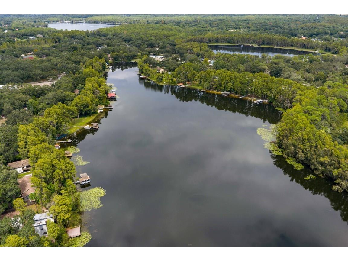 19116 Forrest Drive Odessa FL 33556 - LAKE WOOD TB8431640 image51