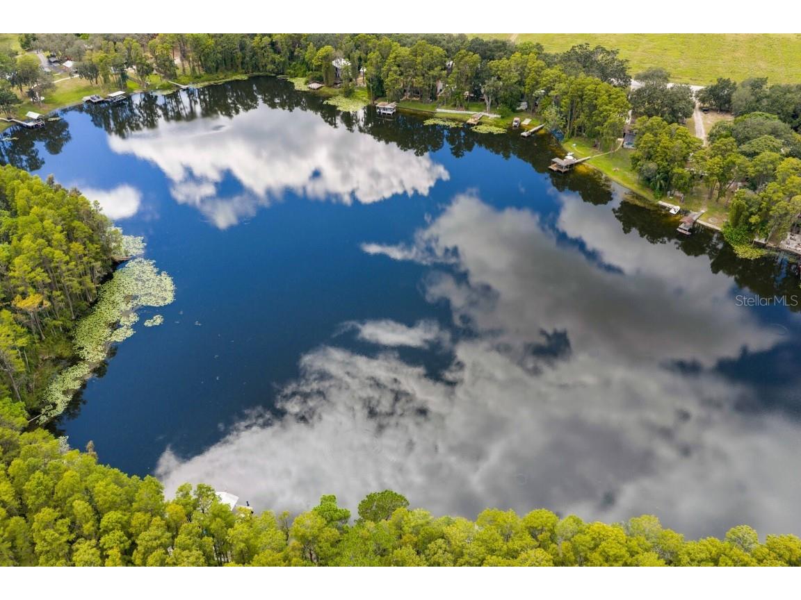 19116 Forrest Drive Odessa FL 33556 - LAKE WOOD TB8431640 image52