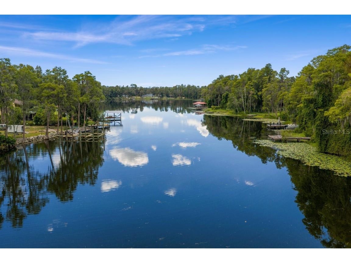 19116 Forrest Drive Odessa FL 33556 - LAKE WOOD TB8431640 image55