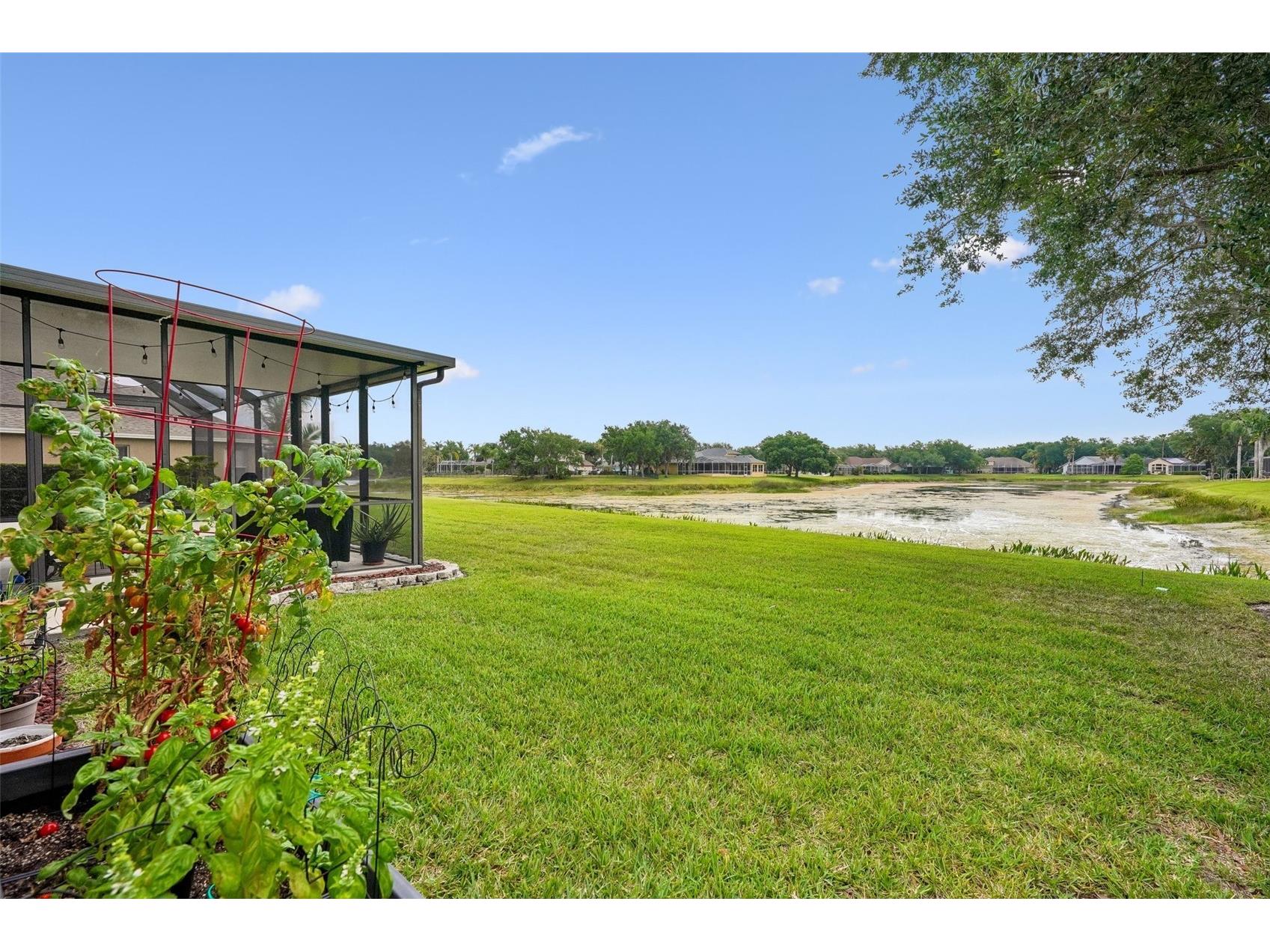 19117 Mandarin Grove Place Tampa FL 33647 TB8505398 image52