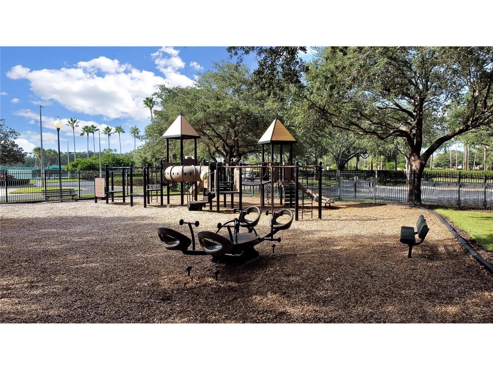 19117 Mandarin Grove Place Tampa FL 33647 TB8505398 image62
